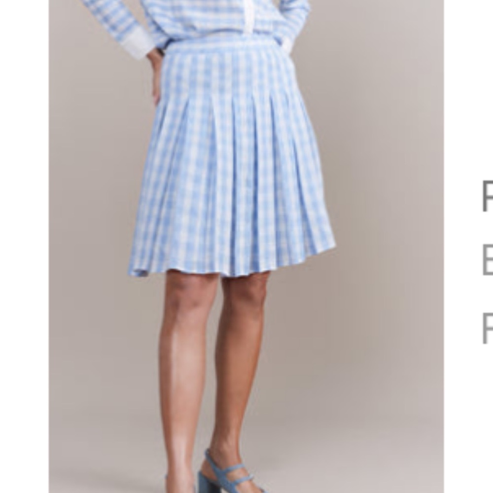 Apparalel Riviera skirt Blue Checkered A-Line Skirt